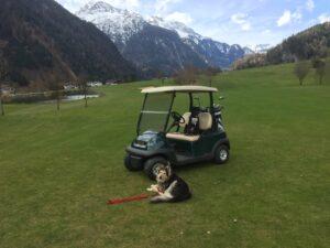 Hundefreundliche Golfclubs