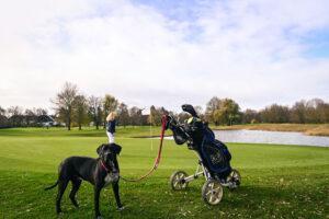 Hundeschulen und Golf