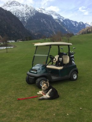 Hundefreundliche Golfclubs